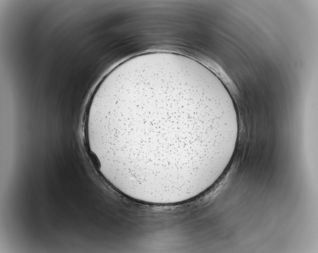 X0000093480908200711091624