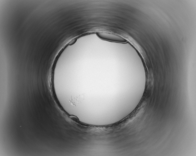 X0000093480909200711091624
