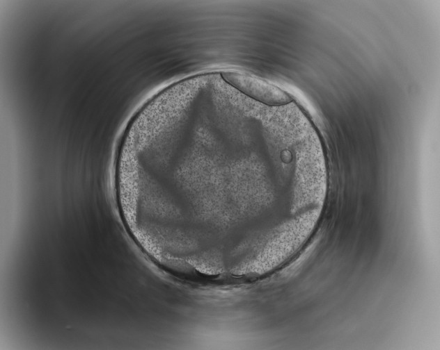 X0000093480910200711091624
