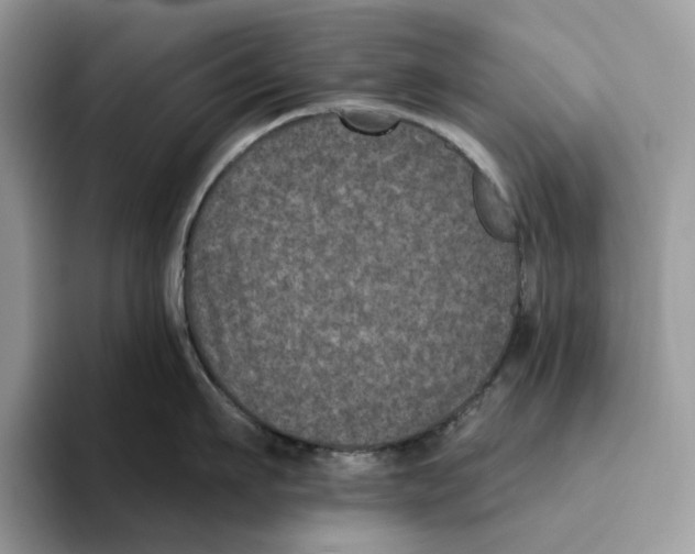 X0000093480911200711091624