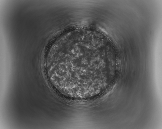 X0000093480913200711091623