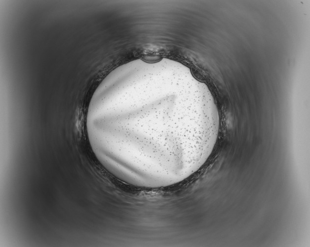 X0000093480914200711091623