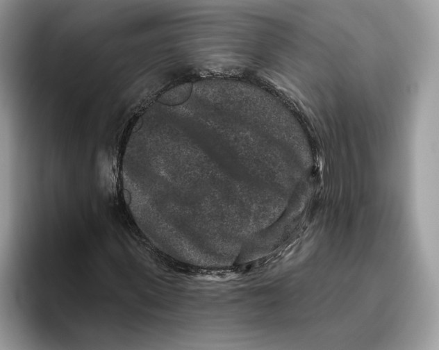 X0000093480915200711091623