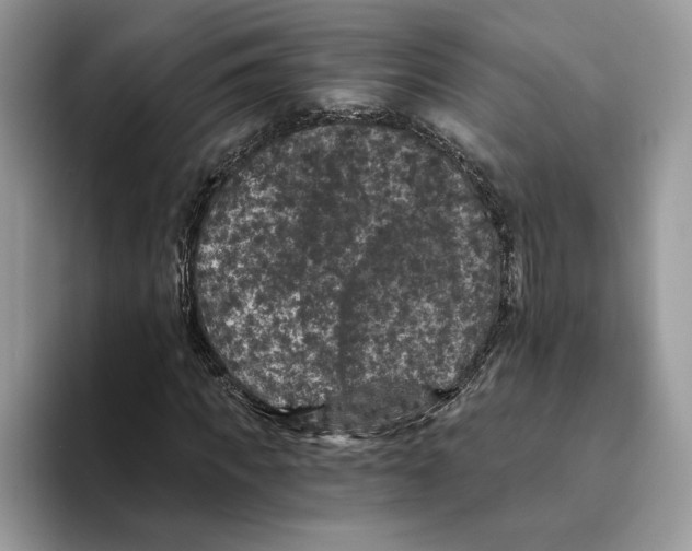X0000093480917200711091623