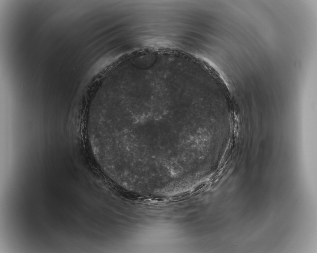 X0000093480919200711091623