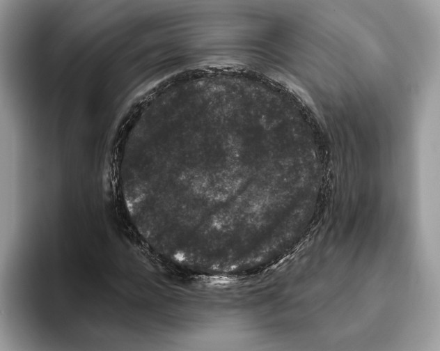 X0000093480920200711091623