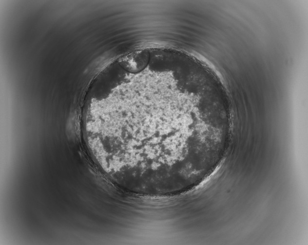 X0000093480921200711091623
