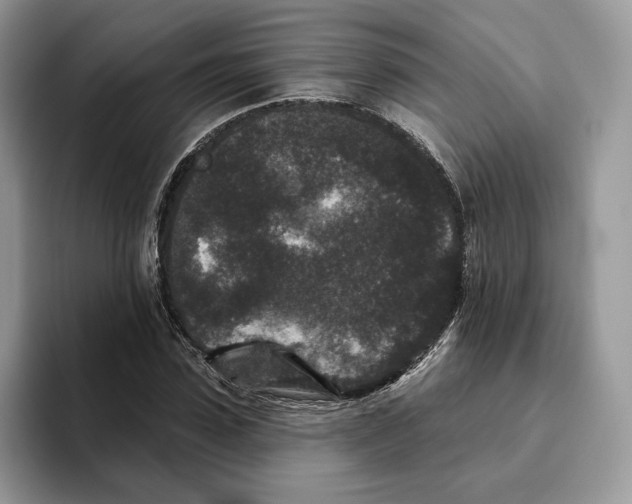 X0000093480923200711091623