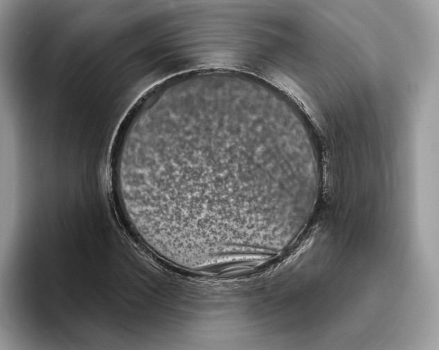 X0000093480924200711091623