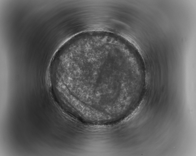 X0000093480925200711091623