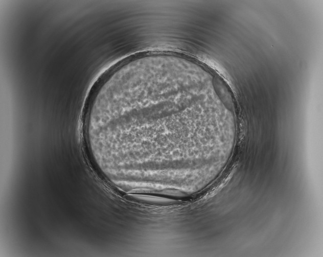 X0000093480928200711091623
