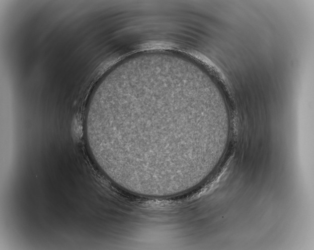 X0000093480929200711091623