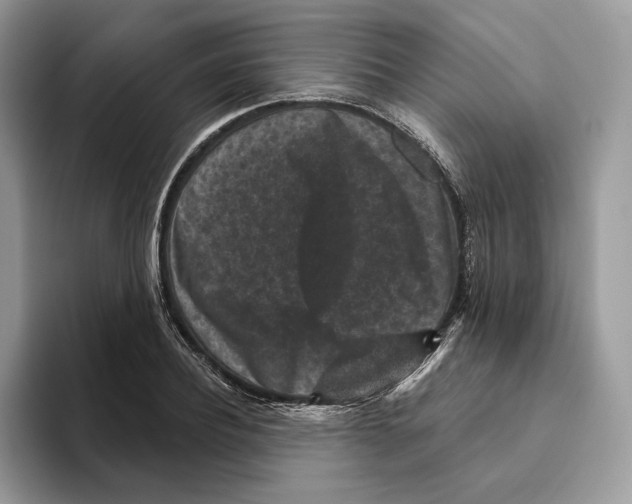 X0000093480932200711091623