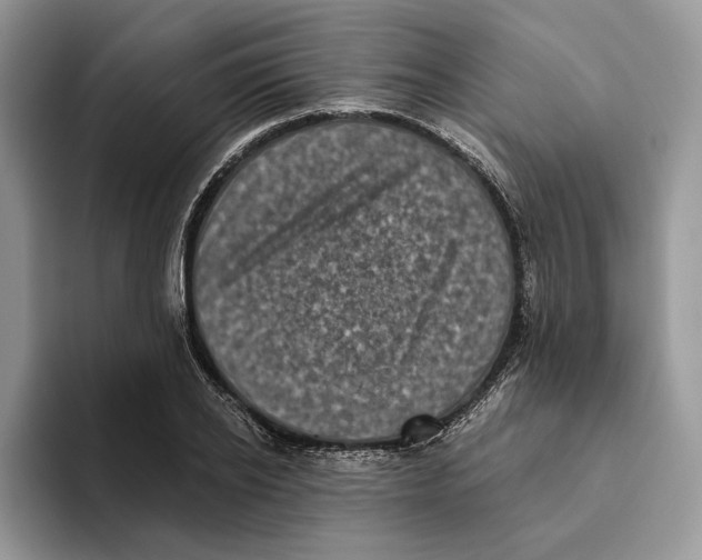 X0000093480934200711091623
