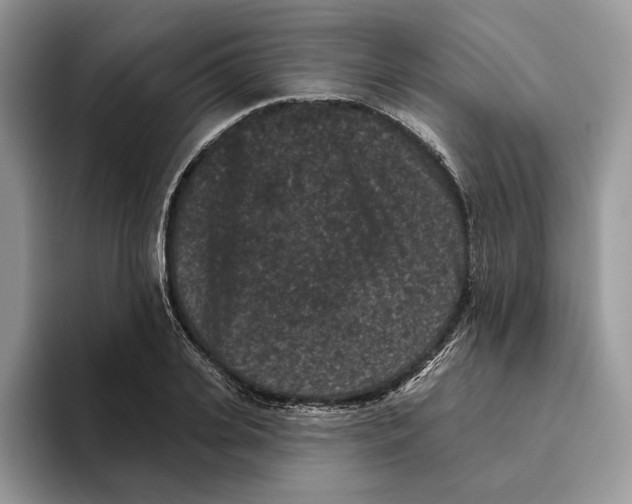 X0000093480935200711091623