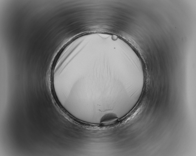 X0000093480941200711091624