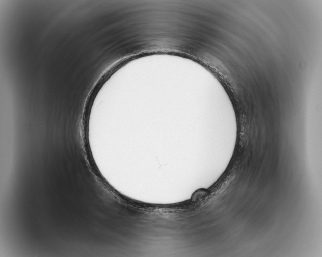 X0000093480942200711091624