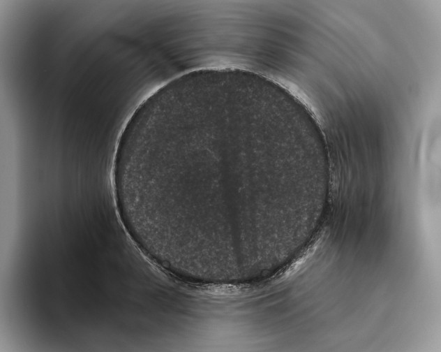X0000093480943200711091624