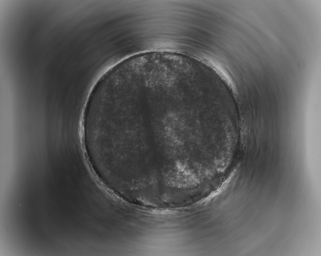 X0000093480944200711091624