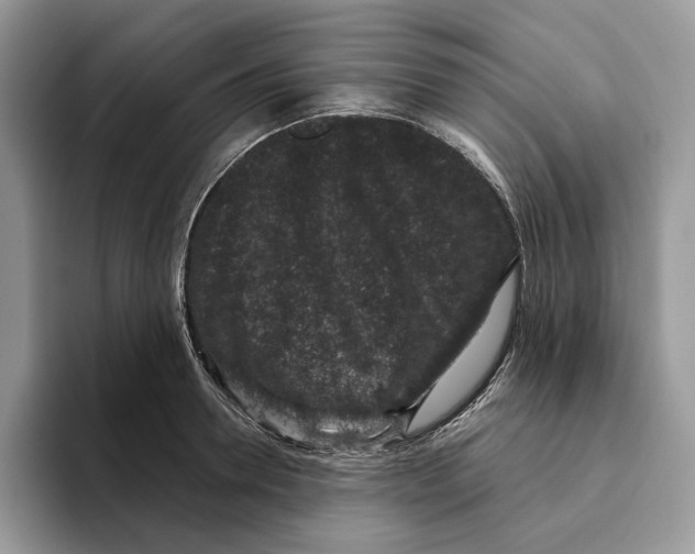 X0000093480946200711091624