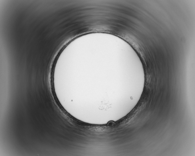 X0000093480947200711091624