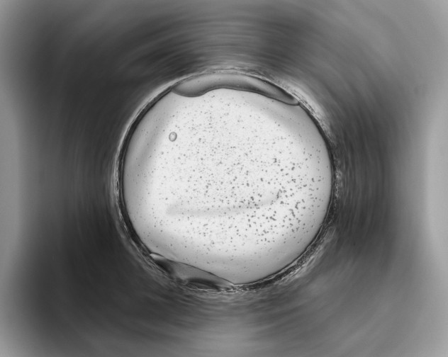 X0000093480948200711091624