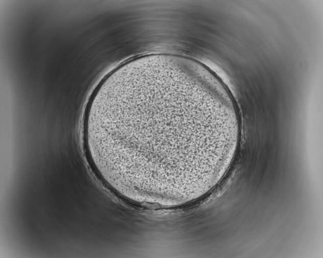 X0000093480949200711091624