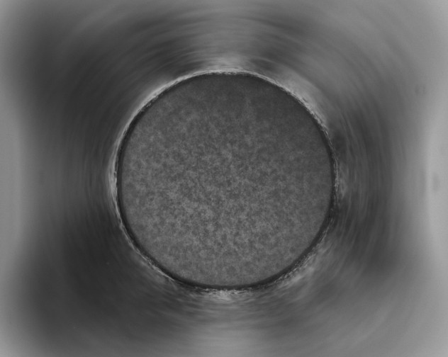 X0000093480950200711091624