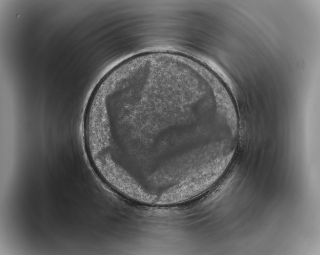 X0000093480951200711091624