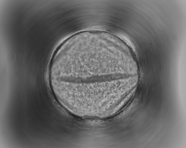 X0000093480952200711091624
