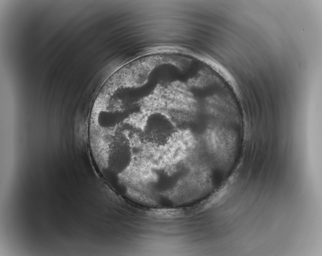 X0000093480953200711091624