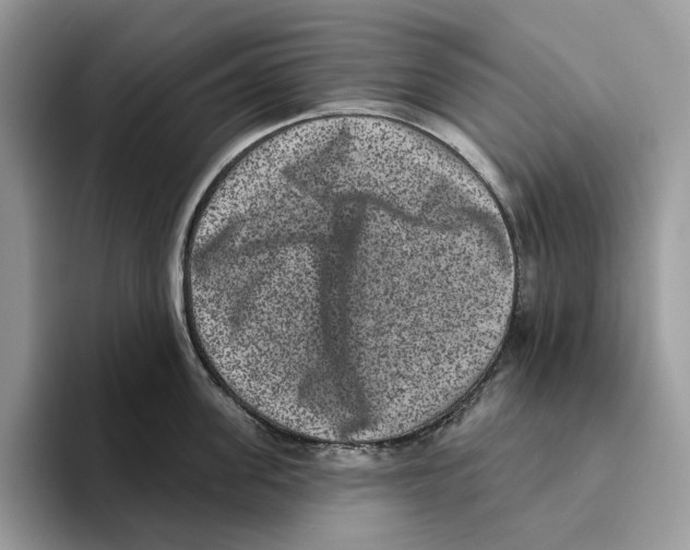 X0000093480955200711091624