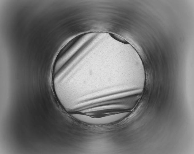 X0000093480956200711091624