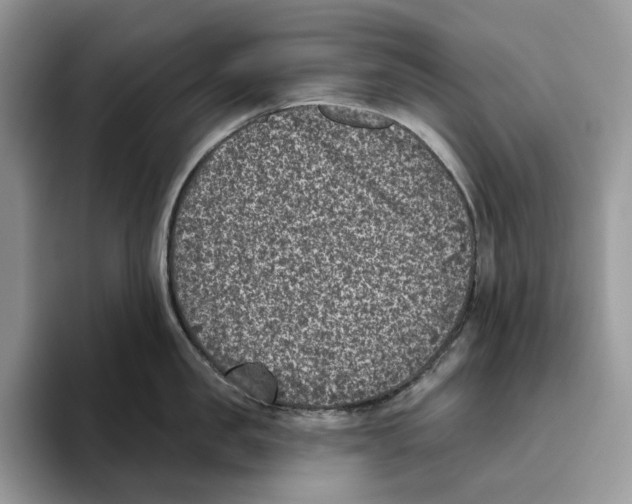 X0000093480957200711091624