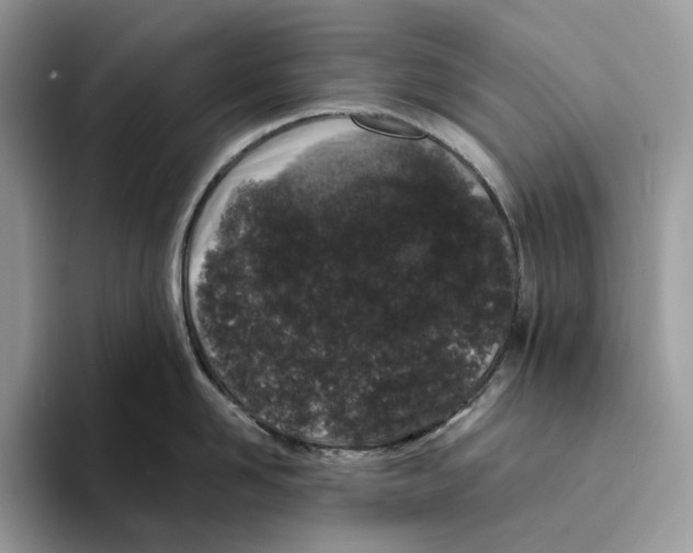 X0000093480958200711091624