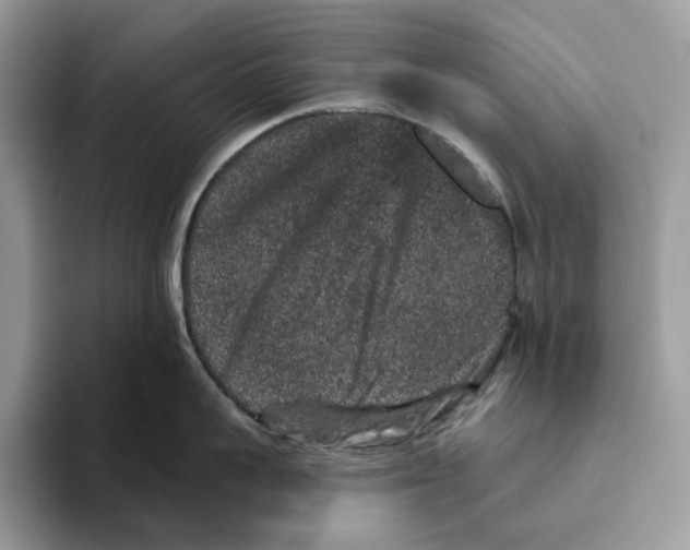 X0000093480959200711091624