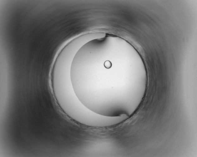 X0000093480960200711091624