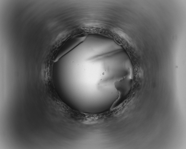 X0000093480965200711091623