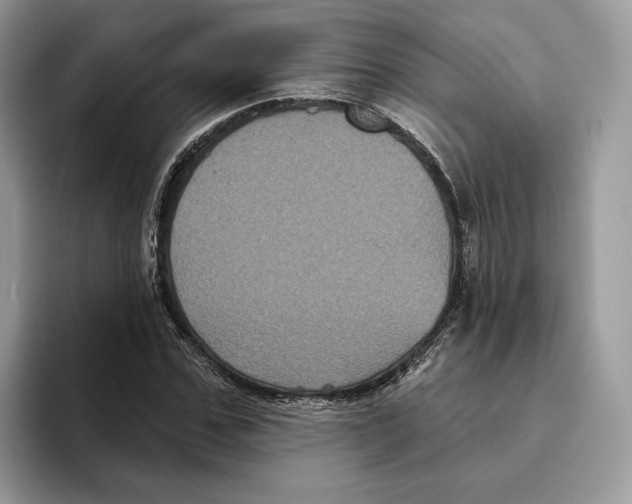 X0000093480971200711091623