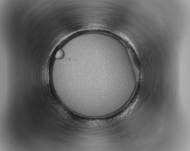 X0000093480973200711091623