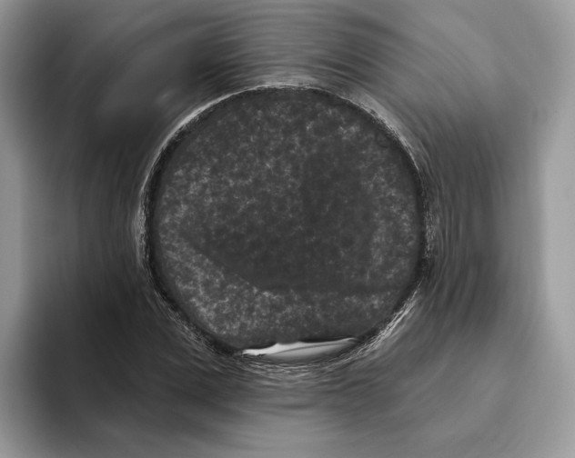 X0000093480975200711091623