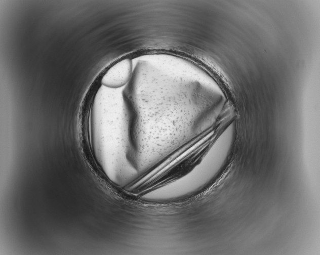 X0000093480976200711091623