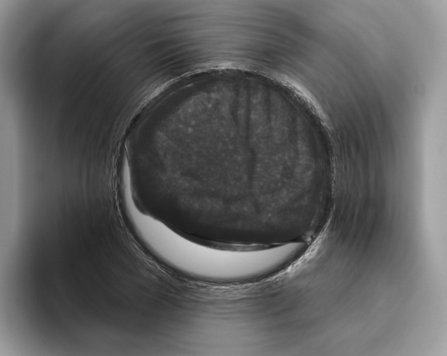 X0000093480977200711091623