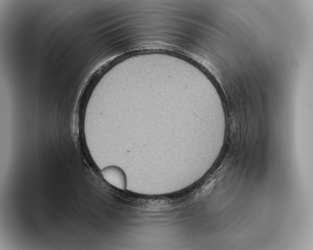 X0000093480979200711091623