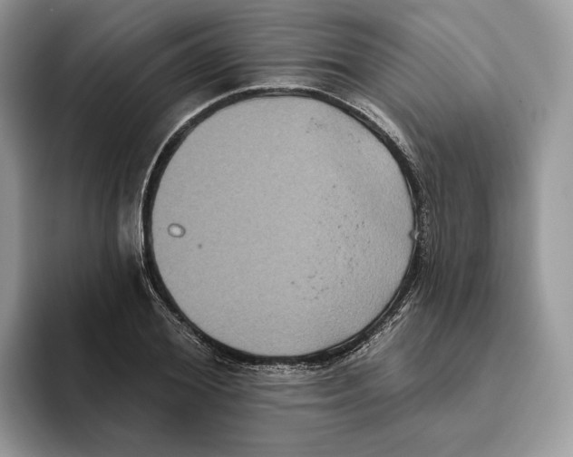 X0000093480980200711091623