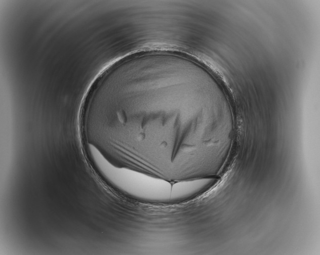 X0000093480981200711091623