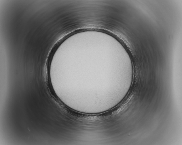 X0000093480982200711091623