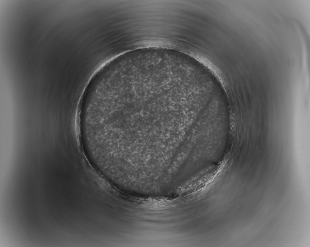 X0000093480983200711091623