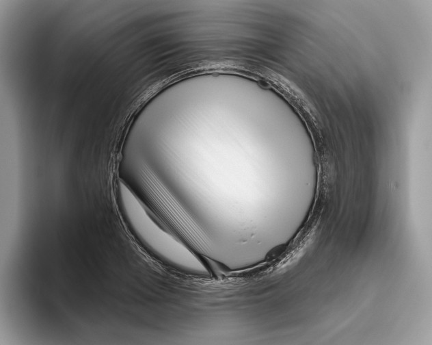 X0000093480985200711091623