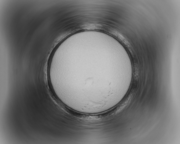 X0000093480986200711091623